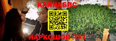 МДПВ Камышлов