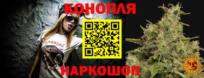 МДПВ Камышлов