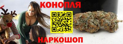 МДПВ Камышлов
