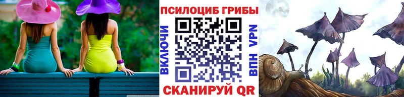 Псилоцибиновые грибы Cubensis  hydra   Назрань 