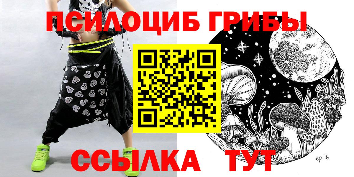 Псилоцибиновые грибы Psilocybe Назрань